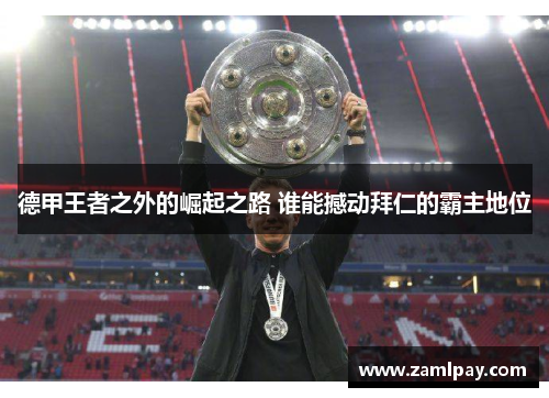 德甲王者之外的崛起之路 谁能撼动拜仁的霸主地位